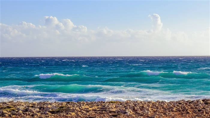 Calm Ocean Shore with Gentle Waves and Foam 4K