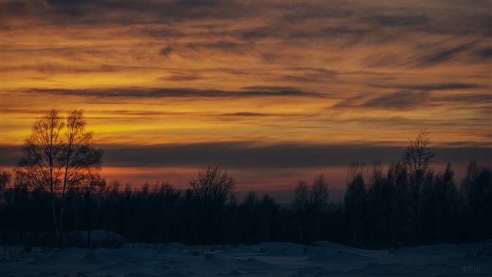 Winter sunset over a snowy landscape with trees