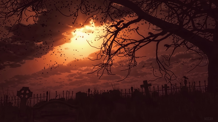 Birds flying over a cemetery at dawn