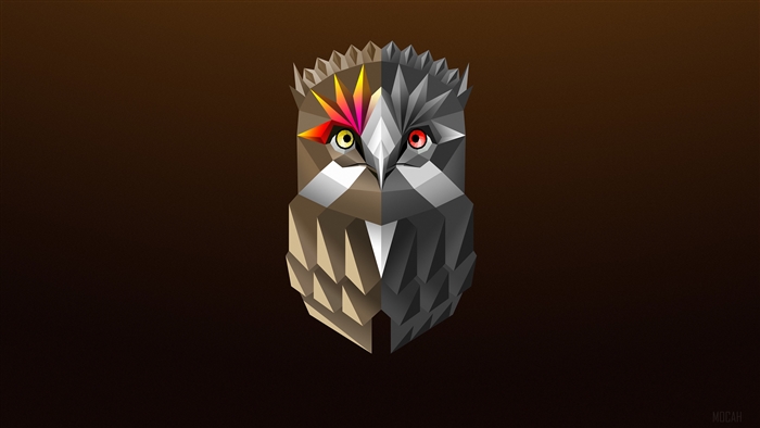 Geometric Owl Digital Art 4K