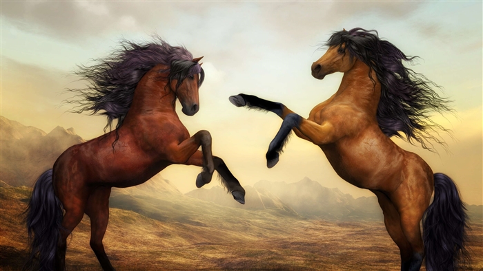 Two Arabian Horses in a Landscape 4K
