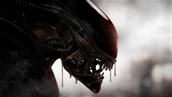 Xenomorph Creature from Aliens 4K