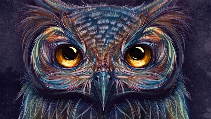 Colorful Owl Art 4K