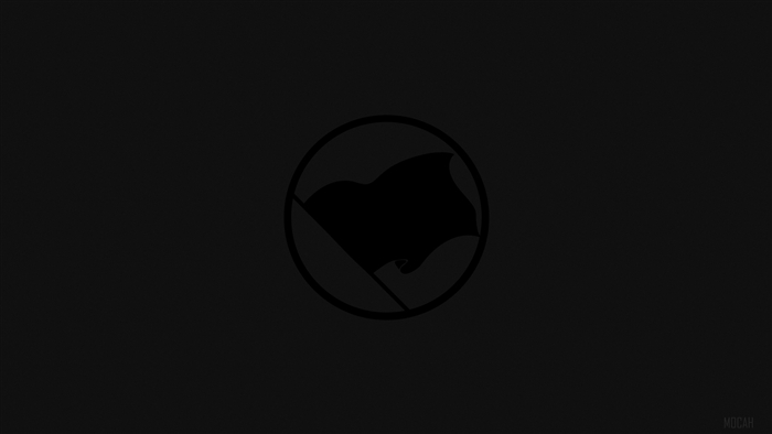 Black Flag in Circle 4K