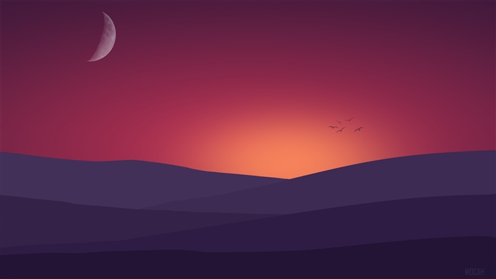 Birds flying towards sunset landscape 4K
