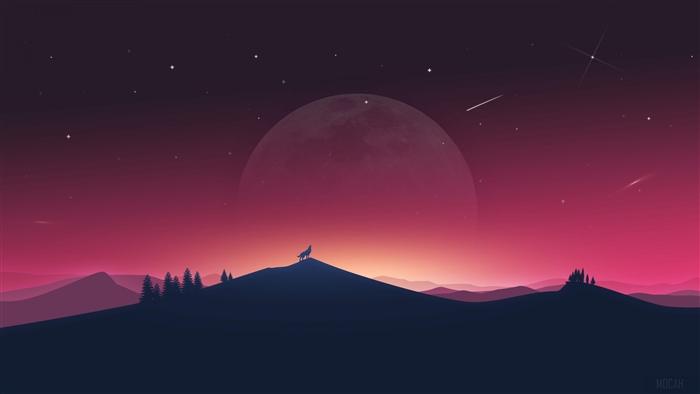 Wolf Howling To Moon