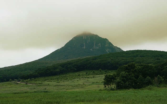Misty mountain peak behind a forest and meadow