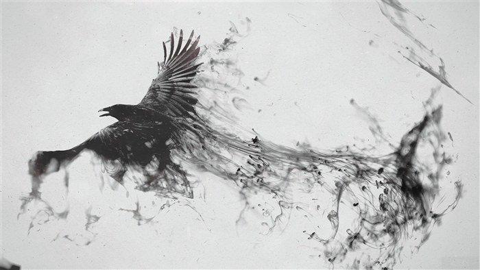 Raven Bird Art
