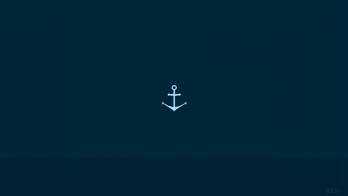 Anchor Vector