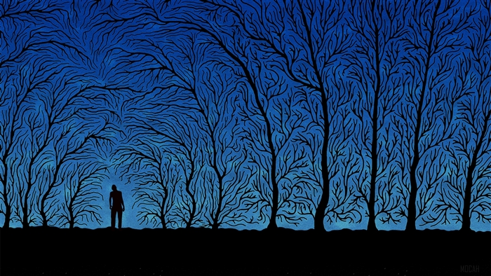 Silhouette of a person in a forest of stylized trees