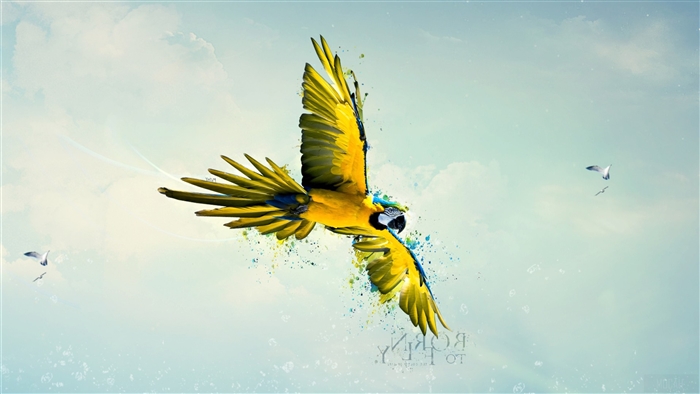 Blue and yellow macaw flying in the sky