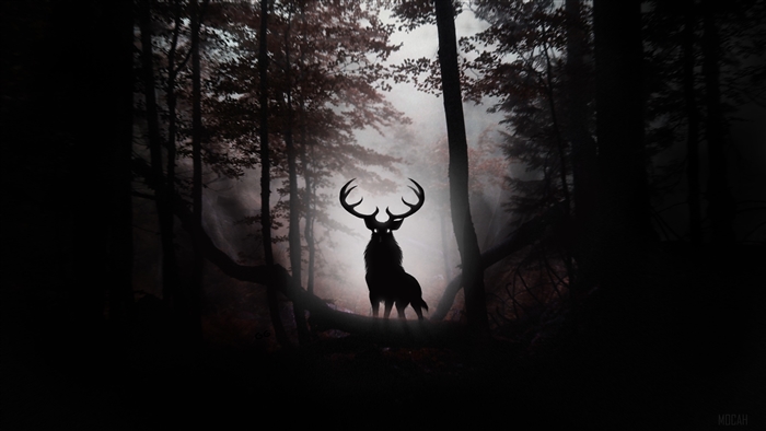 Fantasy Deer in a Misty Forest 4K