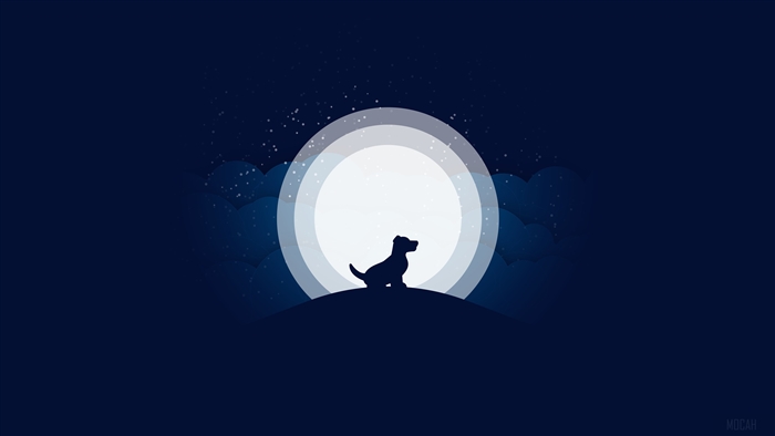 Dog sitting on a hill under a large moon
