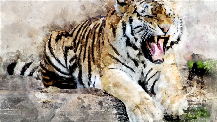 Tiger Abstract Art