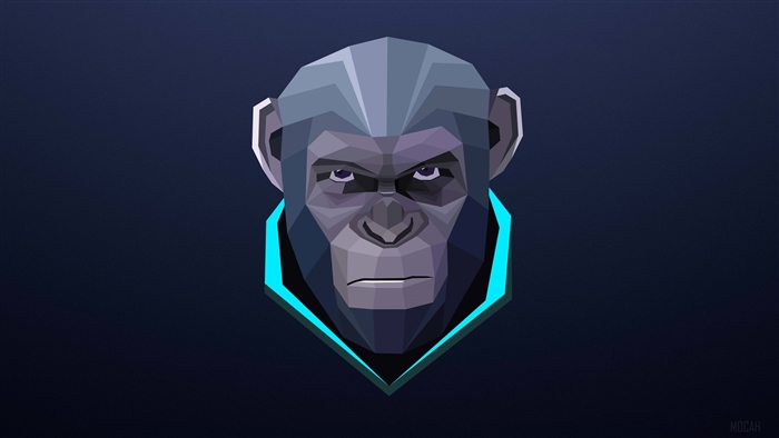 Minimalist Monkey Portrait 4K