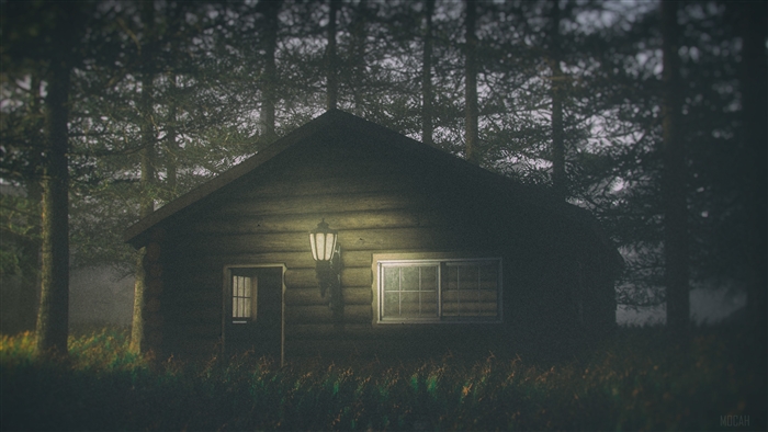 Cabin in the dark forest 4K
