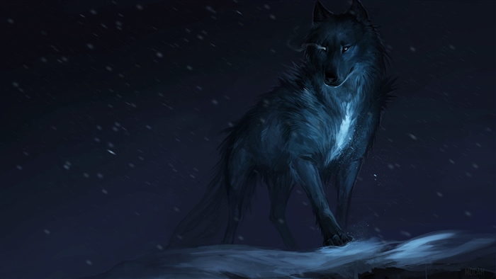 Wolf Drawing