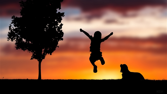 Child jumping with dog at sunset