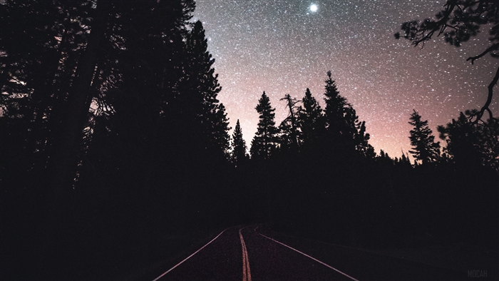 Road through a forest under a starry sky 4K