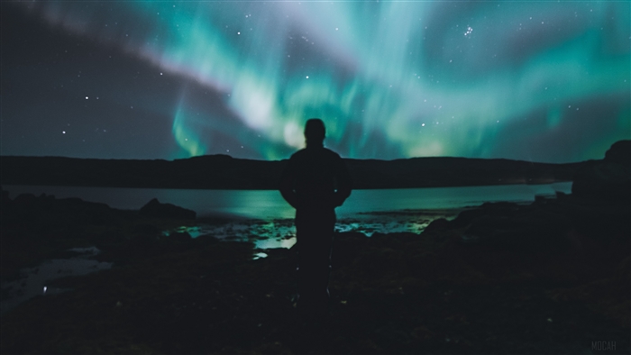 Man watching Northern Lights over the coast 4K