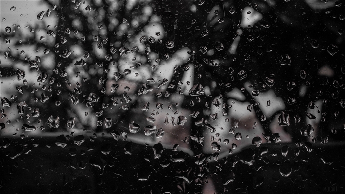 Raindrops on a window, black and white