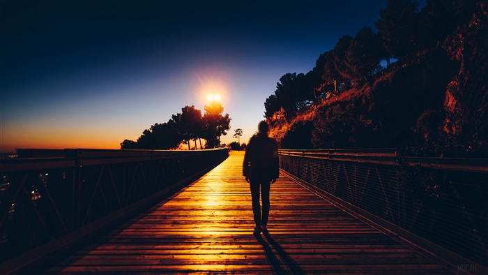 Silhouette walking on a wooden bridge at sunset 4K