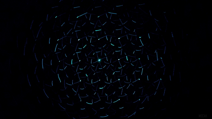 Abstract neon light network on dark background