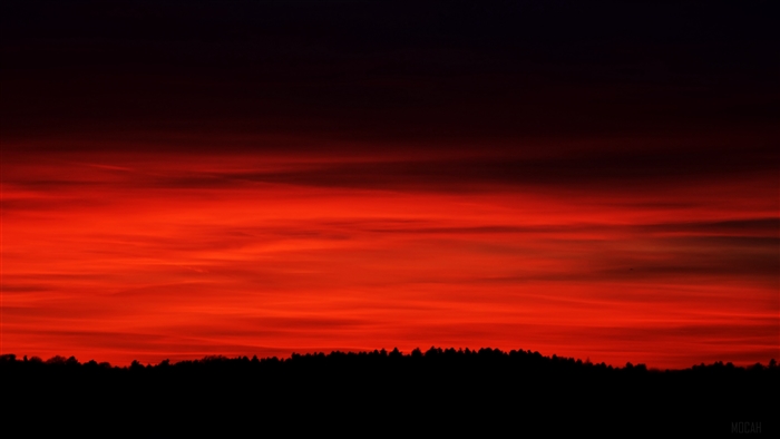 Red Sky Over Forest Silhouette 4K