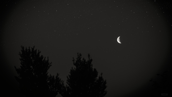 Night Sky with Crescent Moon and Silhouetted Trees