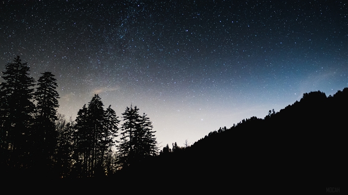 Starry night sky over silhouetted trees and mountain