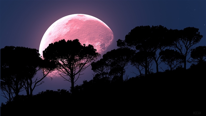 Pink Moon over Silhouetted Trees
