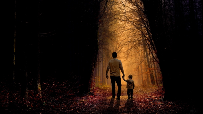 Father and son walking in a forest