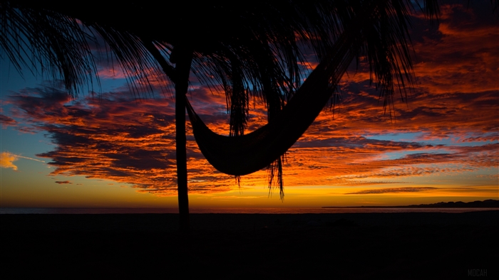 Hammock and palm tree at sunset with clouds 4K