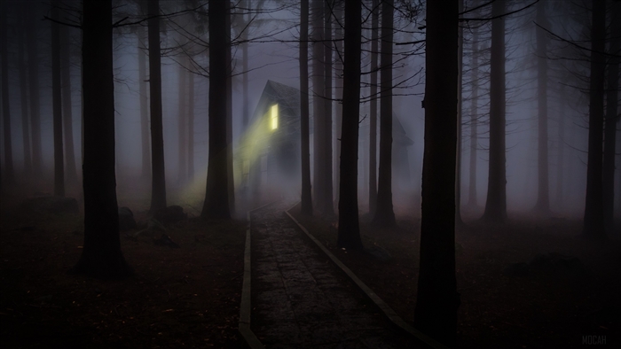 Creepy house in foggy forest at night 4K