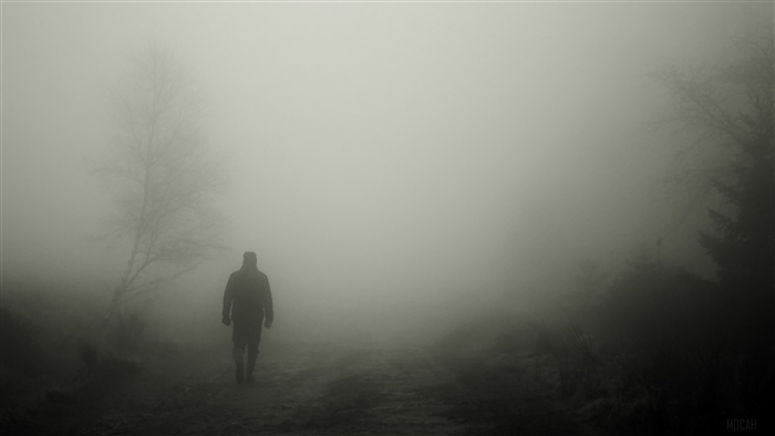 Man walking in fog 4K
