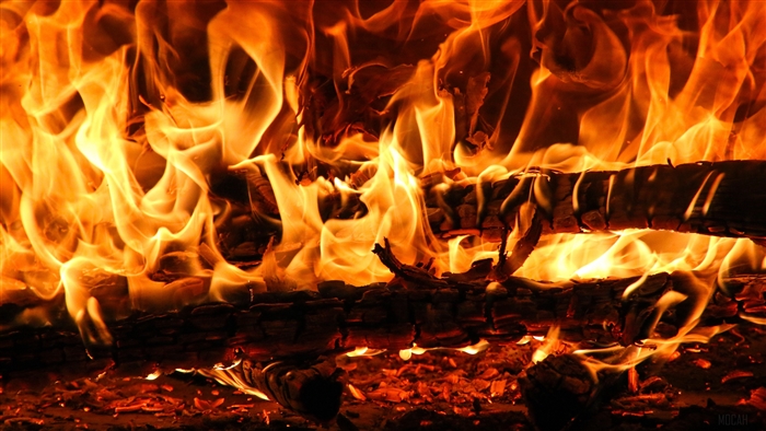 Bonfire with flames and embers 4K