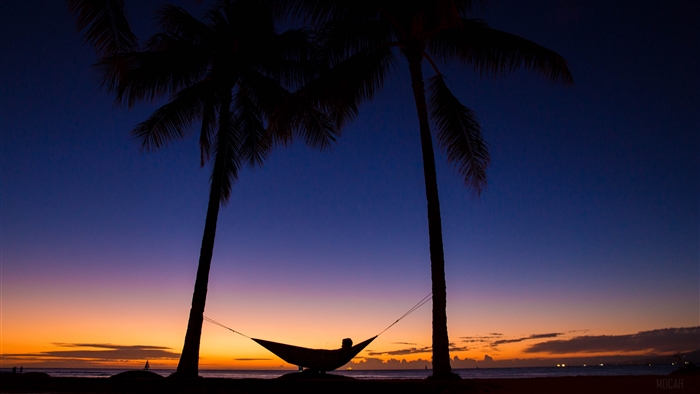 Silhouette of person in hammock between palm trees at sunset 4K