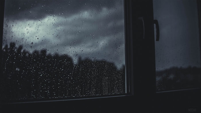 Rainy window with blurred trees and sky