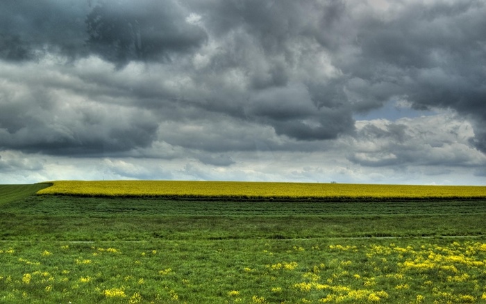Stormy sky over yellow and green fields