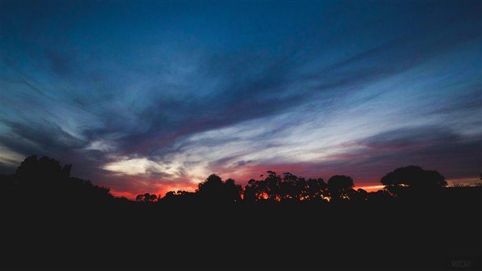 Sunset over trees and clouds 4K