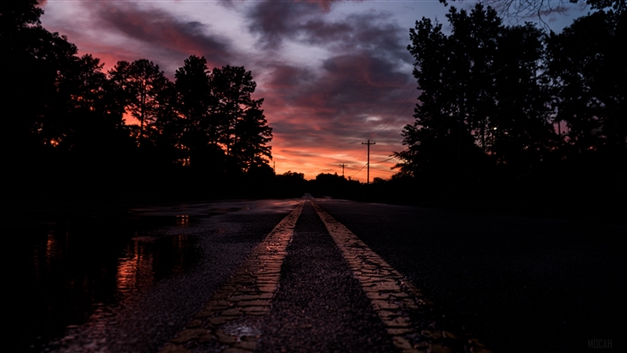 Road at Sunset with Trees 4K