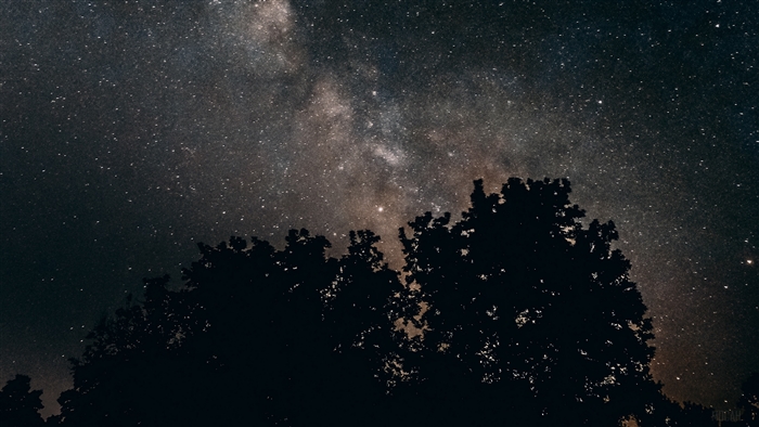 Milky Way galaxy over silhouetted trees