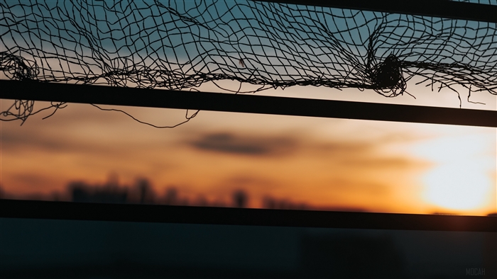 Torn mesh against sunset sky with city skyline
