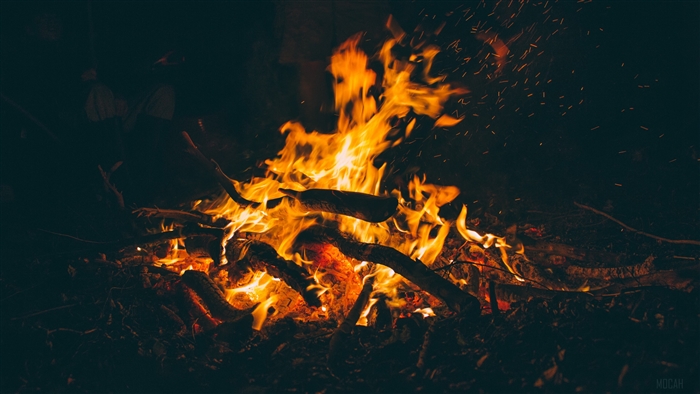 Campfire with firewood and ash 4K