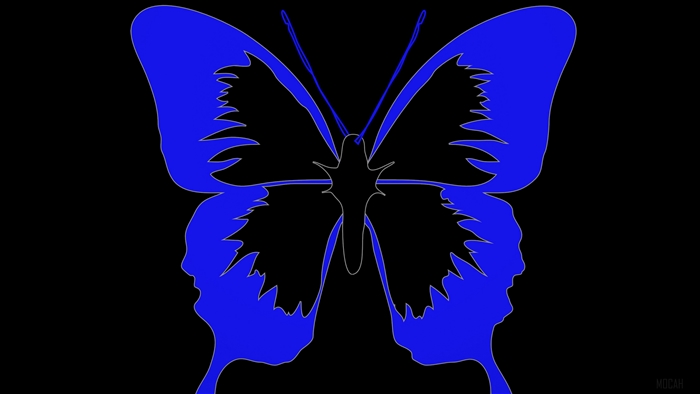 Minimalist blue butterfly 4K