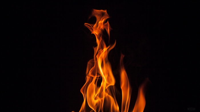Close-up of orange flames burning in darkness