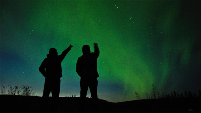 Silhouettes pointing at Aurora Borealis