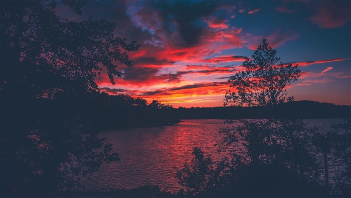 Sunset over Lake Lanier with silhouetted trees
