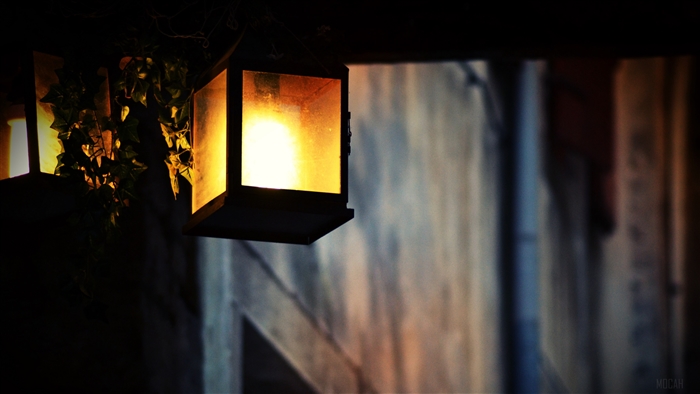 Lantern with ivy and light