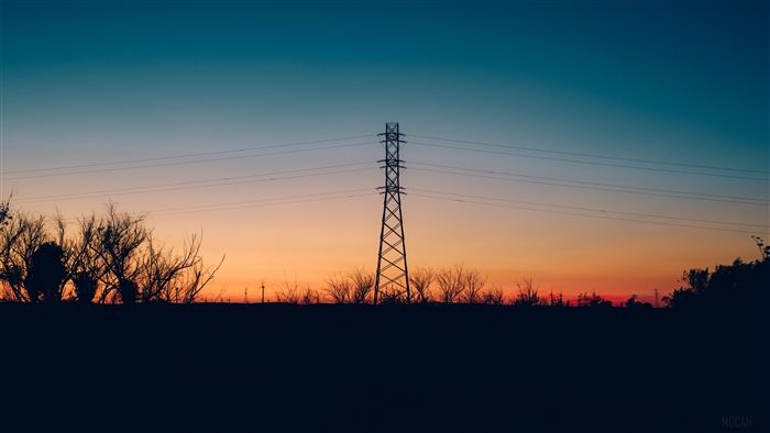 Power lines and silhouette of trees at sunset
